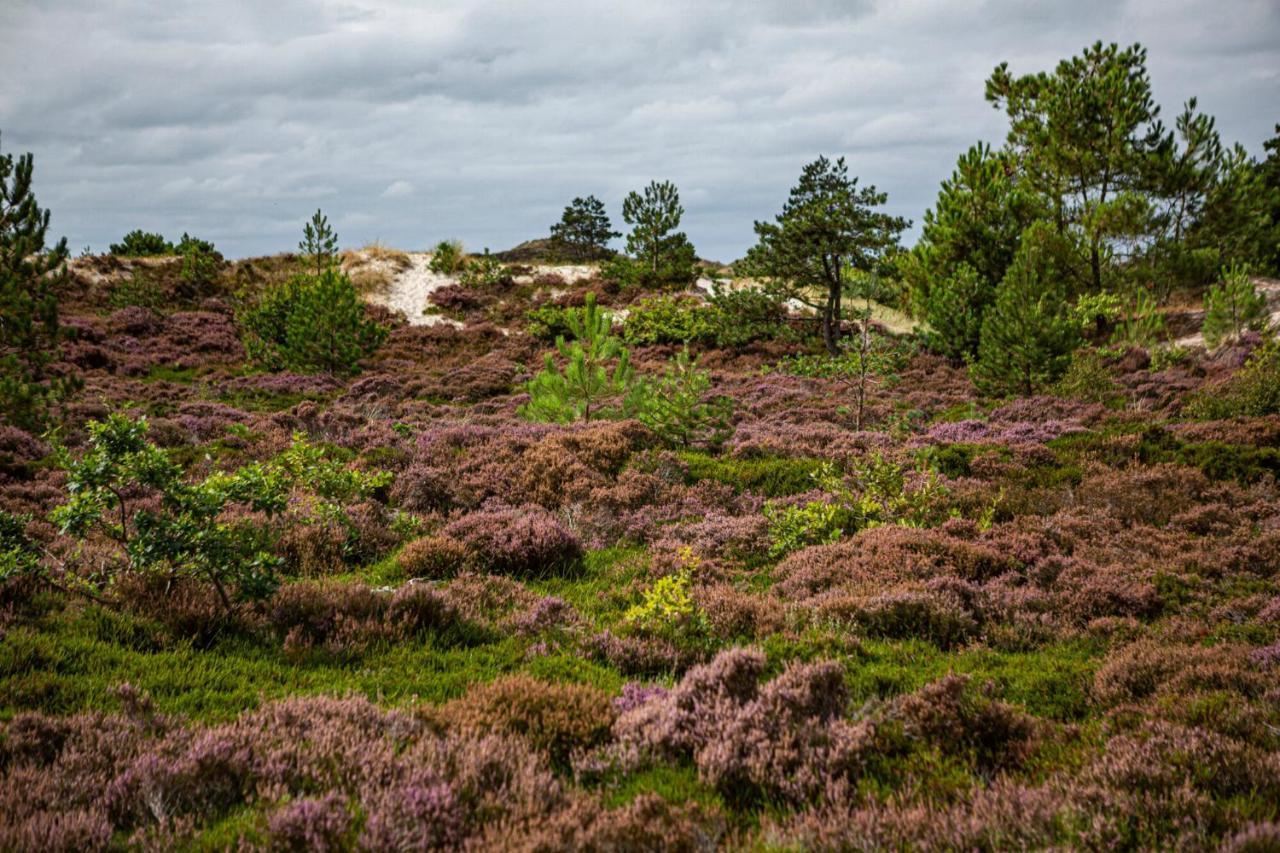 Strandhotel Camperduin Schoorl Eksteriør bilde